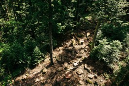 VERENA MÜLLER  Fotografie