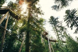 VERENA MÜLLER  Fotografie