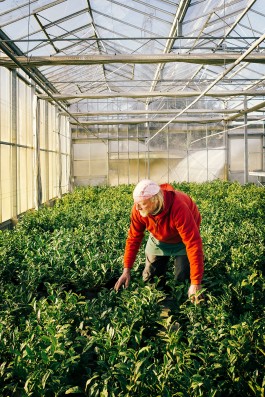 VERENA MÜLLER  Fotografie