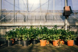 VERENA MÜLLER  Fotografie