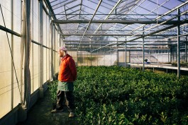 VERENA MÜLLER  Fotografie