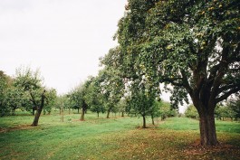 VERENA MÜLLER  Fotografie