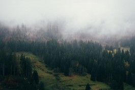 VERENA MÜLLER Fotografie