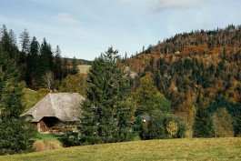 VERENA MÜLLER Fotografie