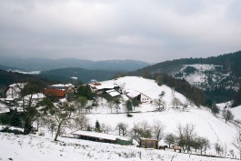 VERENA MÜLLER Fotografie