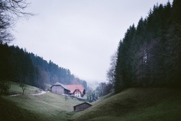 VERENA MÜLLER  Fotografie