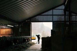 VERENA MÜLLER  Fotografie