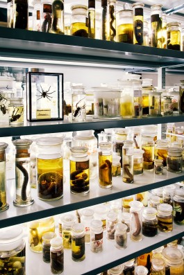 VERENA MÜLLER  Fotografie