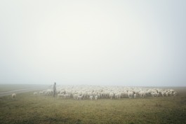 VERENA MÜLLER  Fotografie