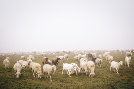 VERENA MÜLLER  Fotografie