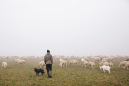 VERENA MÜLLER  Fotografie