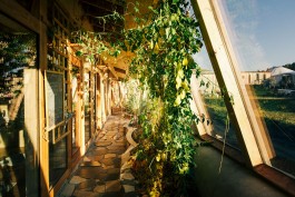 VERENA MÜLLER Fotografie