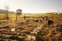 VERENA MÜLLER Fotografie